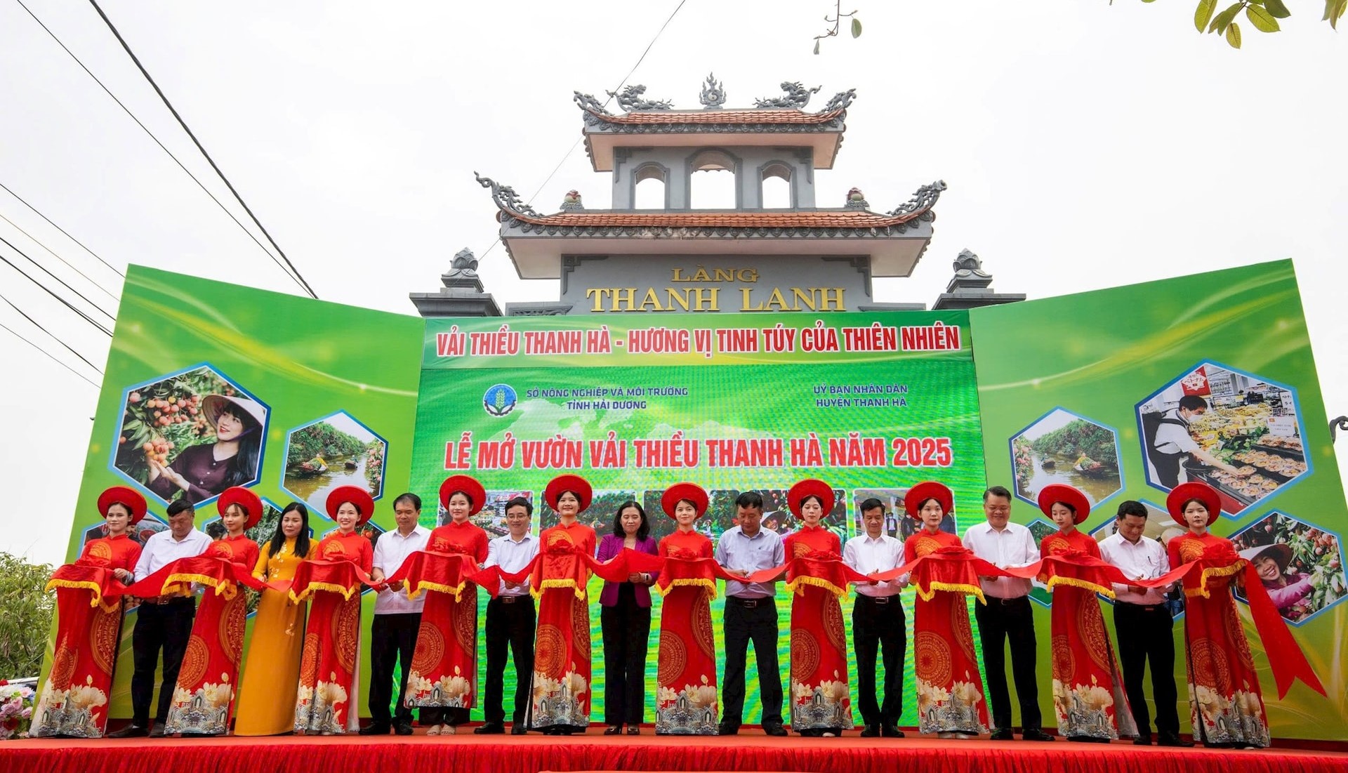 Lễ mở vườn và xúc tiến thương mại vải thiều Thanh Hà năm 2025
