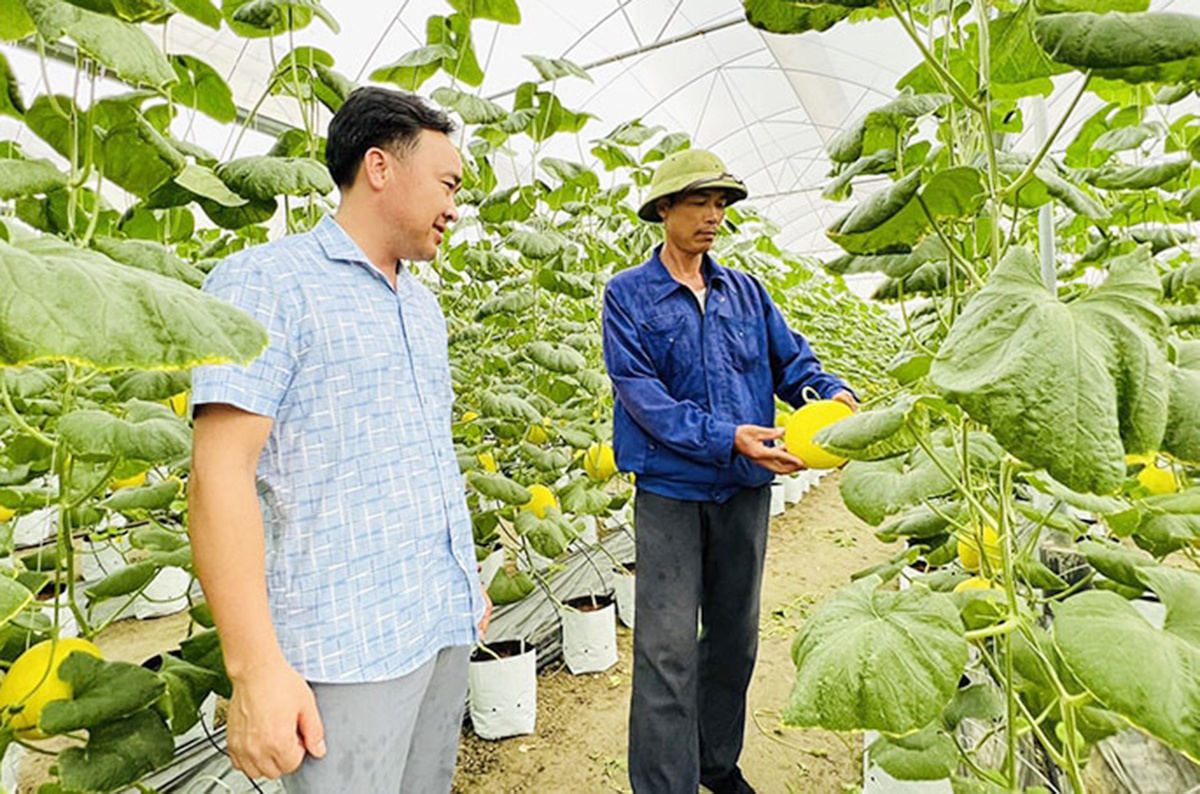 Khoa học công nghệ ‘thắp lửa’ cho nông nghiệp hiện đại ở Gia Lộc