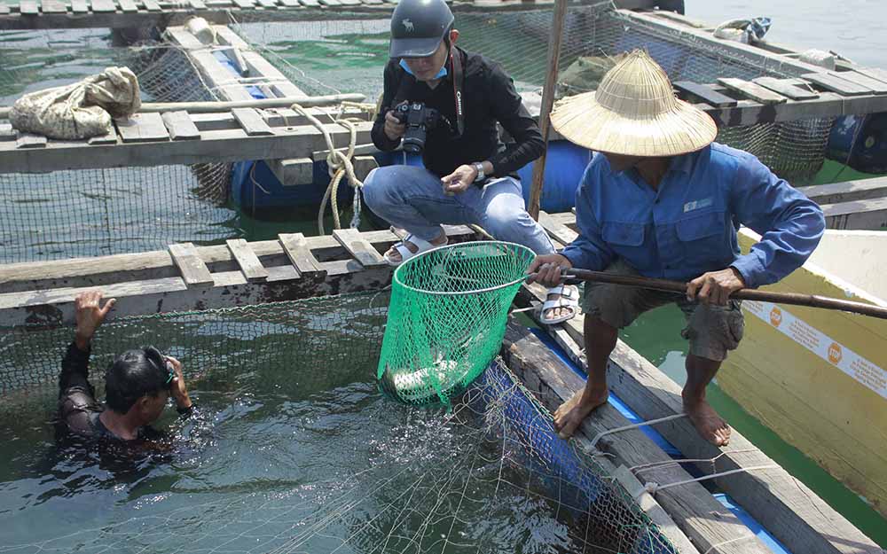 Tăng cường tổ chức thực hiện đồng quản lý trong bảo vệ nguồn lợi thủy sản
