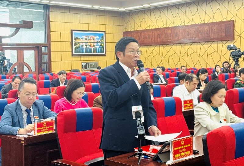 dinhvantruy.jpg